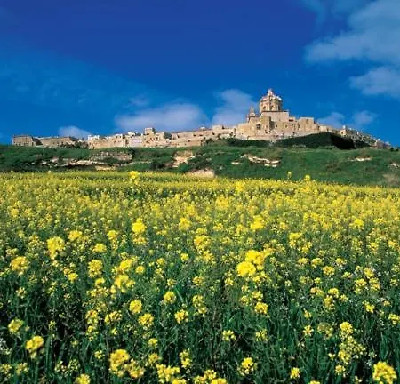 Charming Seafront House In Kalkara アパート ビルグ
